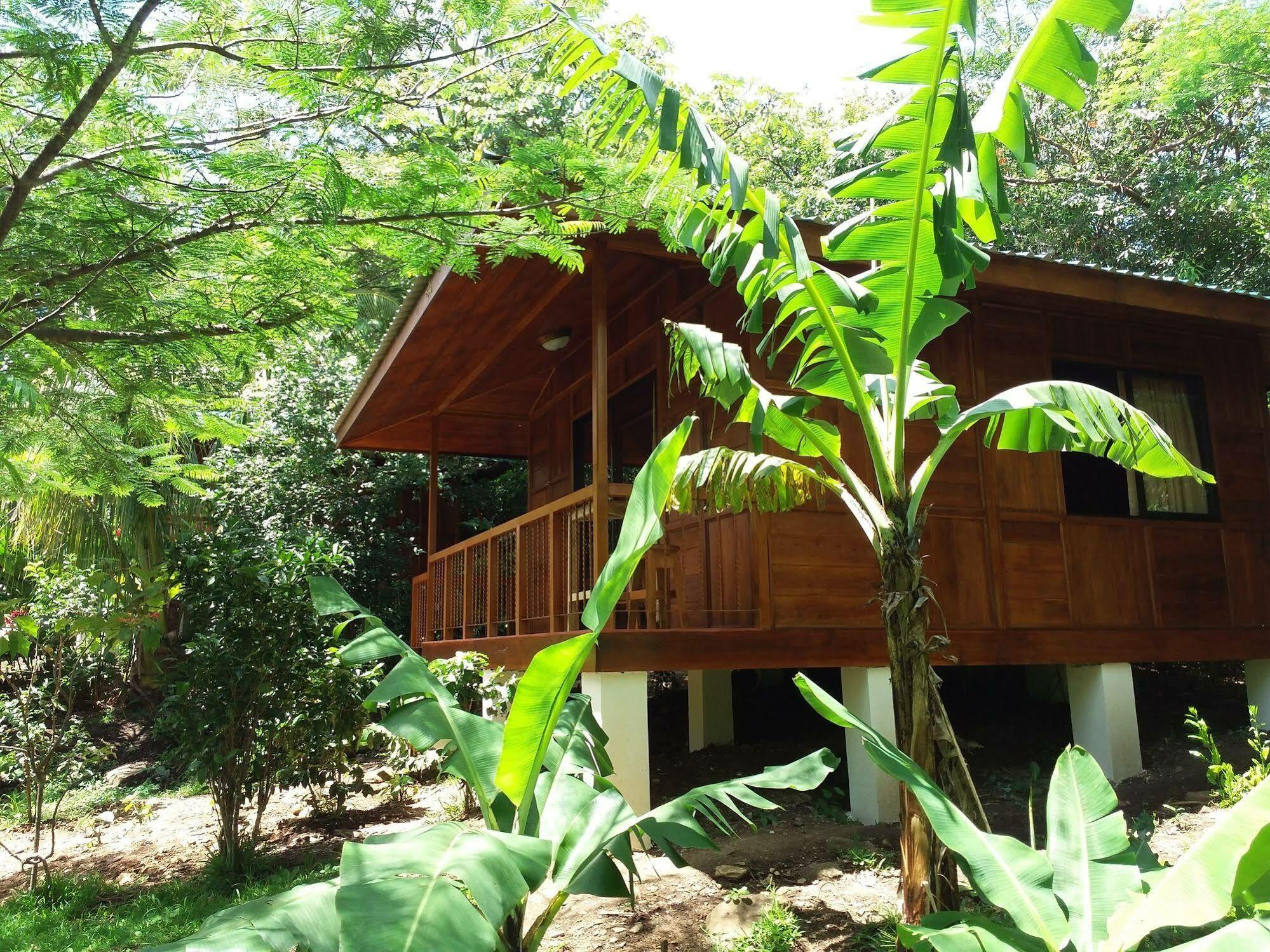 Rancho De Lelo Ecolodge Monteverde Exterior foto